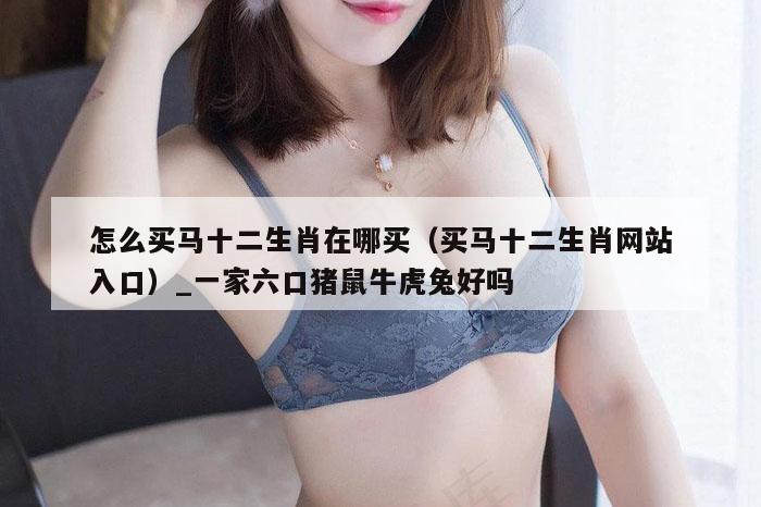 怎么买马十二生肖在哪买（买马十二生肖网站入口）_一家六口猪鼠牛虎兔好吗